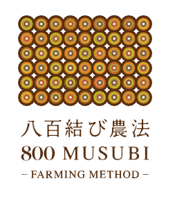 八百結び農法®《実証実験レポート》5ヶ月で土壌総微生物量（億個/g）が3倍に増加したことが明らかに！