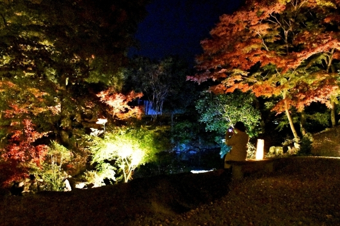 安藤家住宅 紅葉照らす