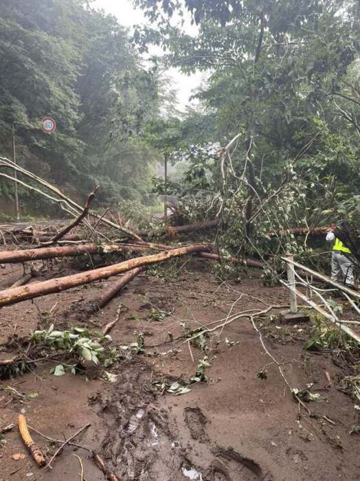 北杜の県道復旧に遅れ 観光に打撃