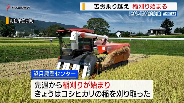 北杜市白州町で稲刈り始まる　燃料や肥料コストの高騰で経営圧迫された１年　山梨県