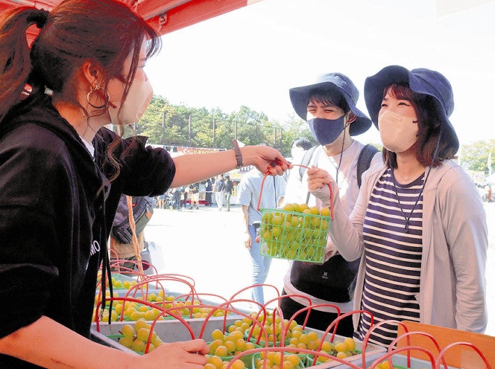 収穫祝い　観光客にぎわい　甲州でぶどうまつり