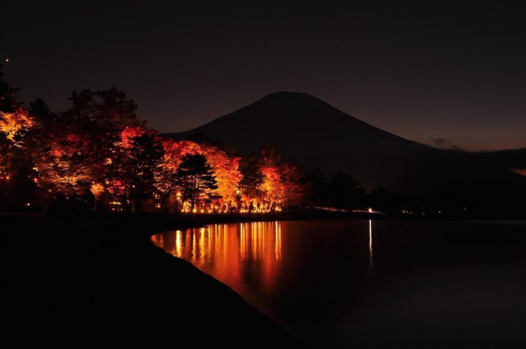 富士山経済新聞
山中湖で「紅葉まつり」　紅葉回廊やチームラボのアート展など