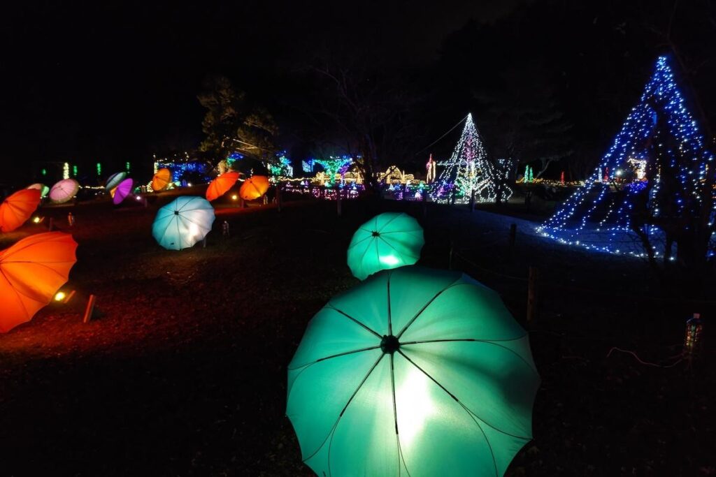 富士山経済新聞
花の都公園でイルミネーション　冬花火やダイヤモンド富士も