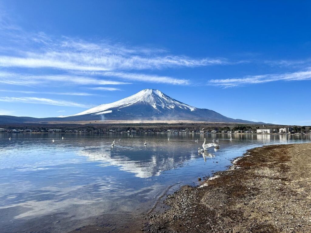 富士山経済新聞
山中湖で音楽フェス「AMSフェス」　富士山を背景にステージを展開