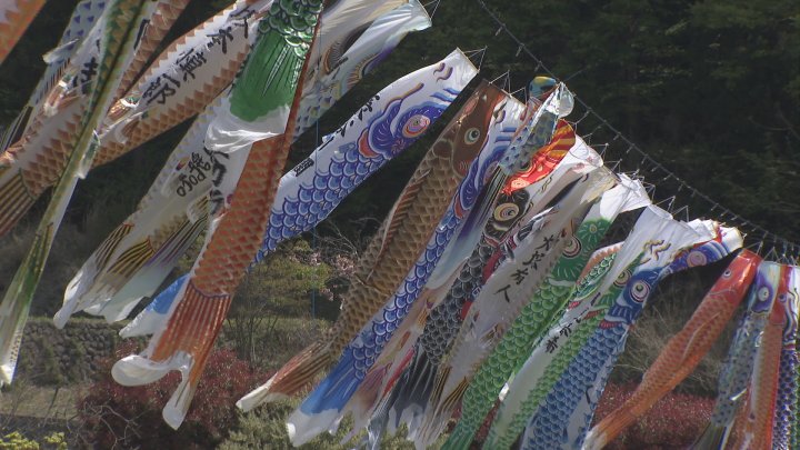 約450匹のこいのぼりが青空の中を泳ぐ　子どもの名前入りの鯉も　北杜市高根町長沢