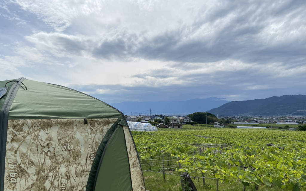 葡萄畑の中でテントサウナを愉しむ Vineyard Sauna(ヴィンヤードサウナ) アウトドアのプロと老舗ワイナリーの初コラボイベント