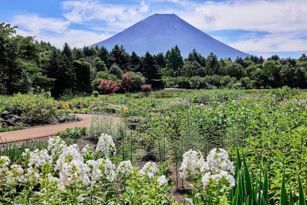 富士山経済新聞
富士本栖湖リゾートで「ピーターラビット」英国式庭園の営業始まる