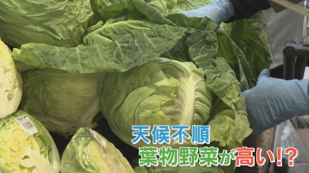 3月の寒さの影響　葉物野菜の価格が高騰　1年前より100円ほど値上がり　山梨