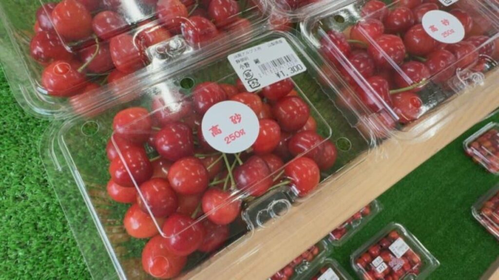 旬の味覚に長い行列 サクランボフェスティバル トウモロコシやキュウリなど新鮮野菜も販売
