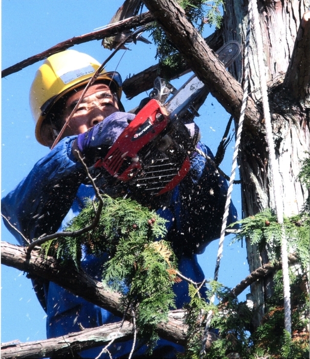 建設写真の入賞作決まる