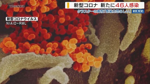 新型コロナ　山梨県内で４６人感染