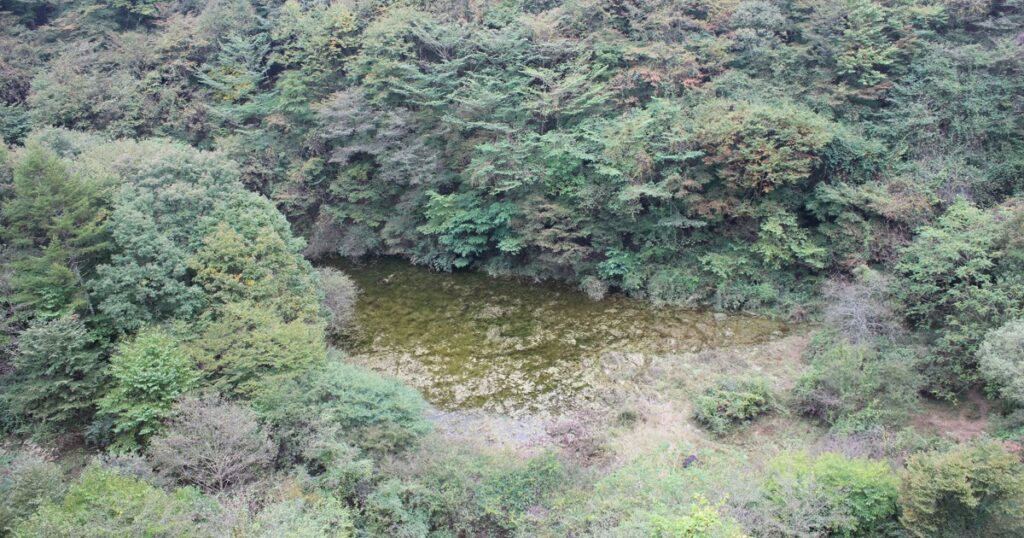 富士五湖に次ぐ「幻の湖」、実は雨水だった　定説覆す分析結果