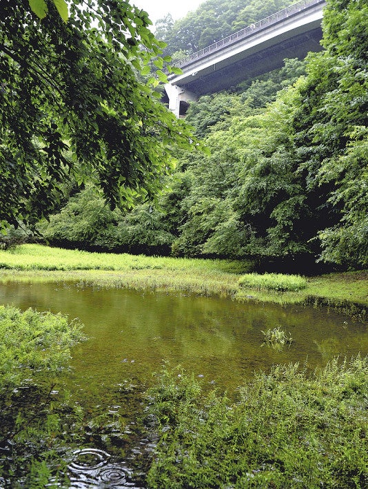 幻の「赤池」雨で形成か　県富士山科学研究所　「地下水脈」定説覆す可能性