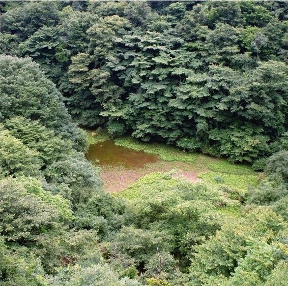 幻の「赤池」 雨で出現