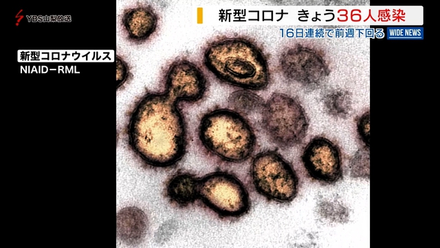 新型コロナ　山梨県内３６人の感染を発表