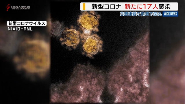 新型コロナ　山梨県内で１７人感染　今月４１７人