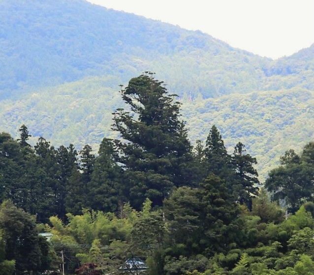 早川の「珍名所」地図に