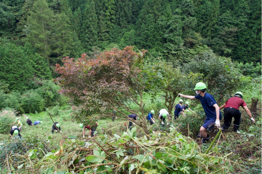 地域課題解決イベント【piCup for Local】の第1回を山梨県小菅村にて開催！