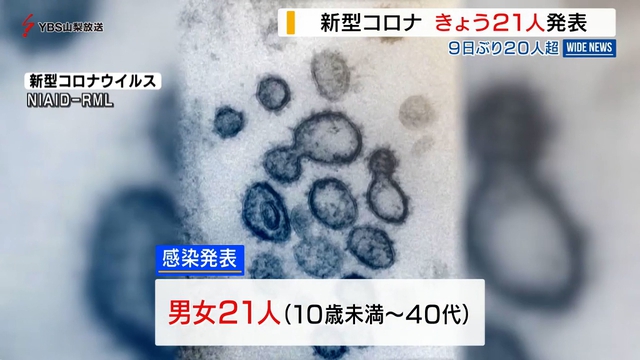 新型コロナ　山梨県内で新たに２１人感染