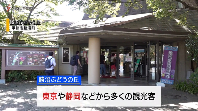 “宣言”解除後の週末　観光地に人