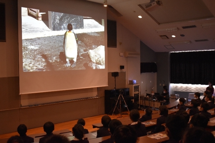 オンラインで海の生き物学ぶ