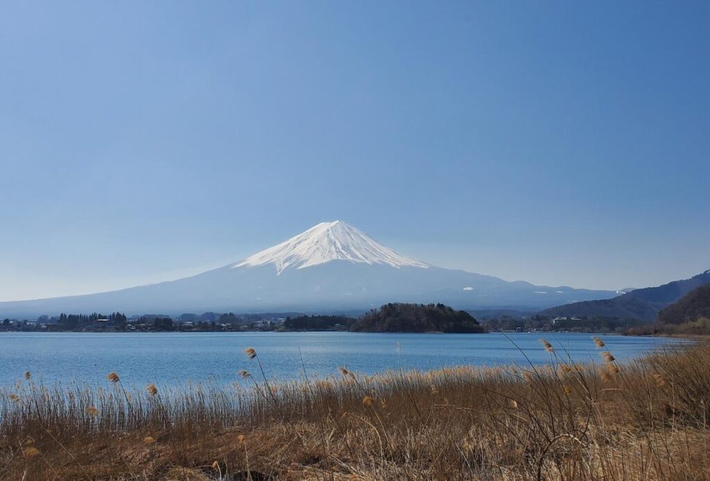 富士山経済新聞
富士五湖エリアで顔認証周遊eチケット　観光型MaaS「手ぶら観光サービス」実証実験で