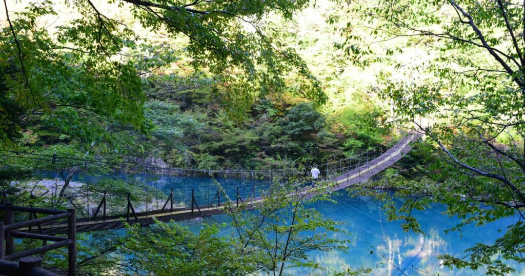 静岡・山梨の高速、2日間定額で乗り放題　中日本高速