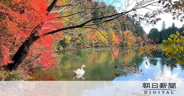 紅葉が見ごろ　南アルプス市の南伊奈ケ湖