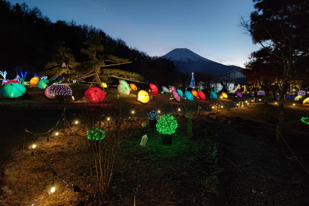 富士山経済新聞
山中湖「花の都公園」でクリスマスイルミネーション　花火やダイヤモンド富士も