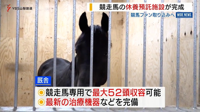 現役競走馬の休養施設がオープン　競馬ファンを取り込む新たな観光施設に　山梨・北杜市