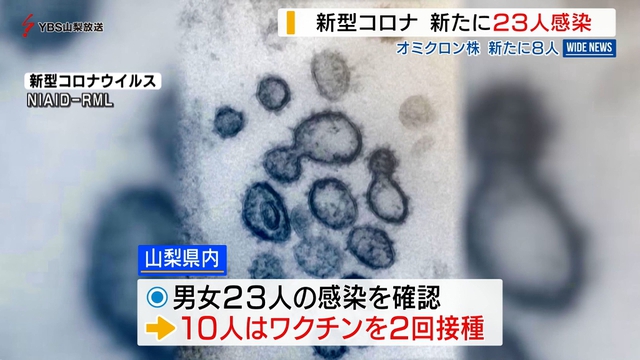 新型コロナ　山梨県内で２３人の感染を確認　県民への協力要請を強化