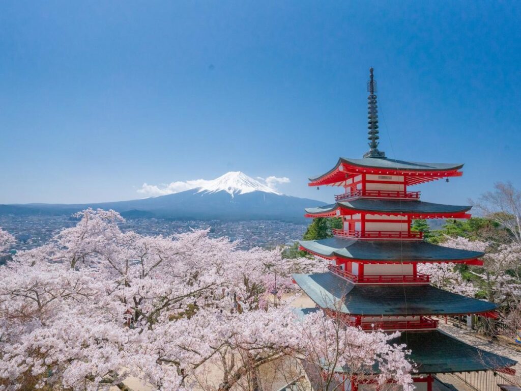 富士山経済新聞
山梨・新倉山でソメイヨシノ満開　富士山と五重塔が彩り添える