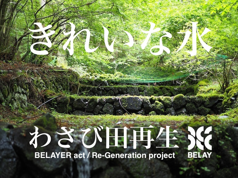 山梨県道志村にて、50年間使われていなかった「わさび田」再生プロジェクト、CAMPFIRE/GoodMorningにてクラウドファンディング開始のお知らせ