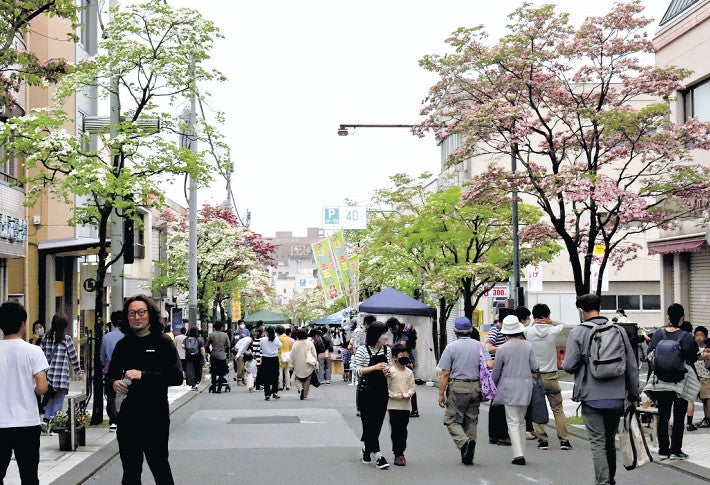 甲府・ハナミズキ祭り　３年ぶり街彩る