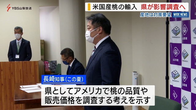 米国産桃の輸入　山梨県が影響調査へ