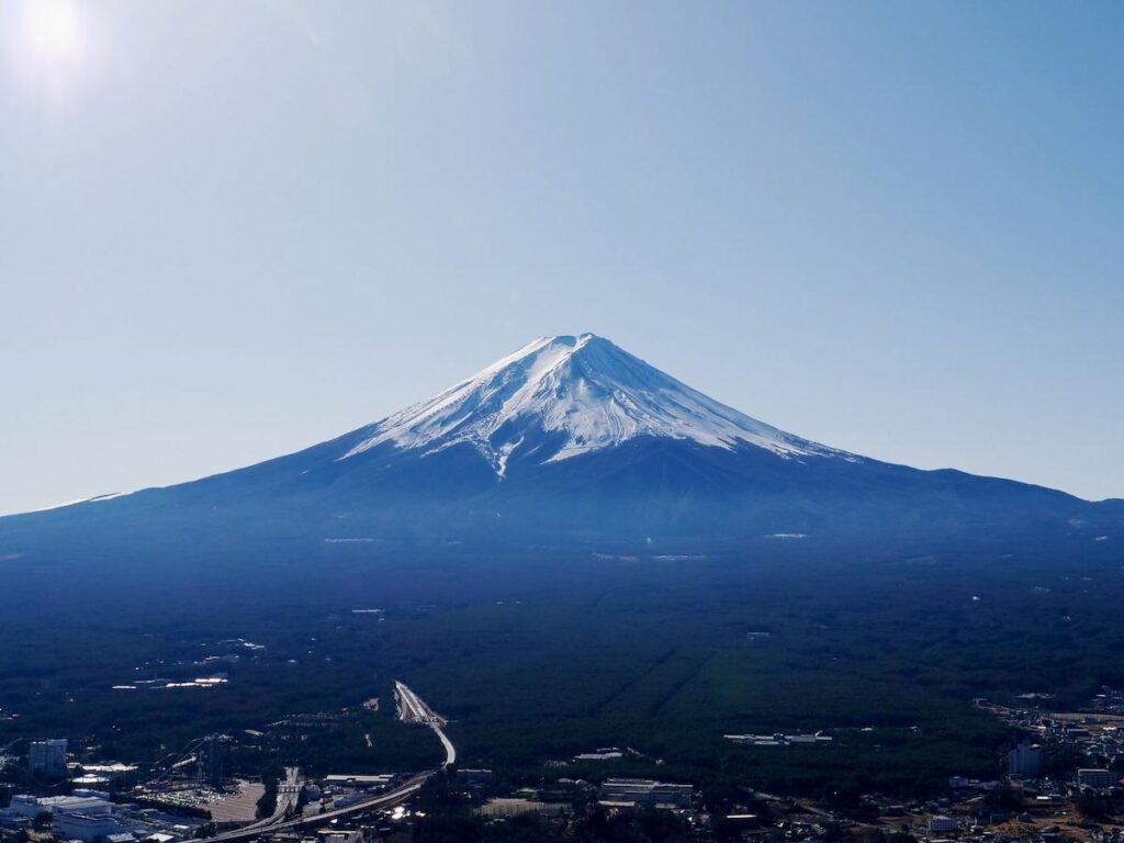 富士山経済新聞
外来植物から富士山の自然を守るプロジェクト　山梨県が支援呼びかけ