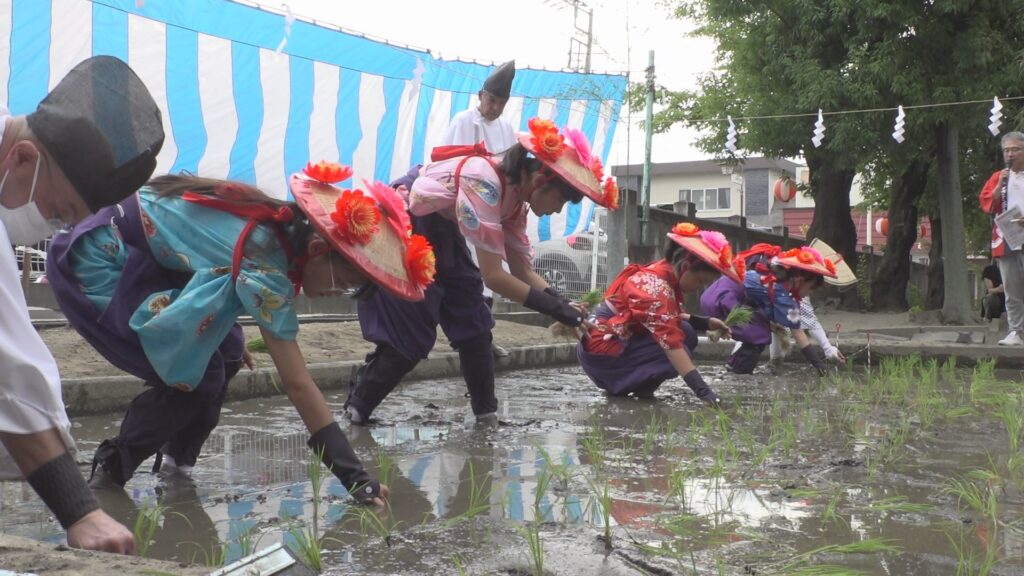 小学生や留学生が早乙女姿で田植え体験　豊作願う御田植祭