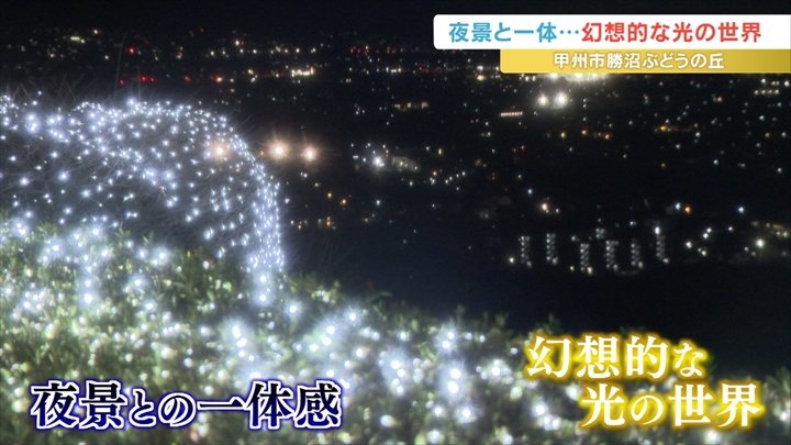 夜景と一体　約1万球のLEDライトで幻想的な光の世界　