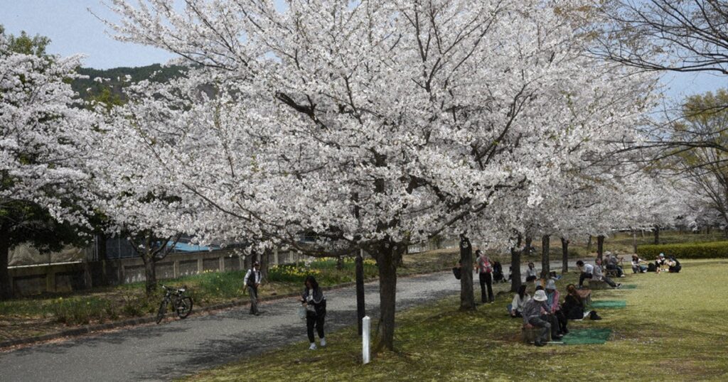 会社の「お花見」「歓迎会」、コロナ前に戻らず　少人数が人気?