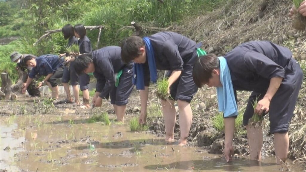 「棚田は景色がよくて、やってて楽しかった」430年の歴史ある棚田　高校生が田植え