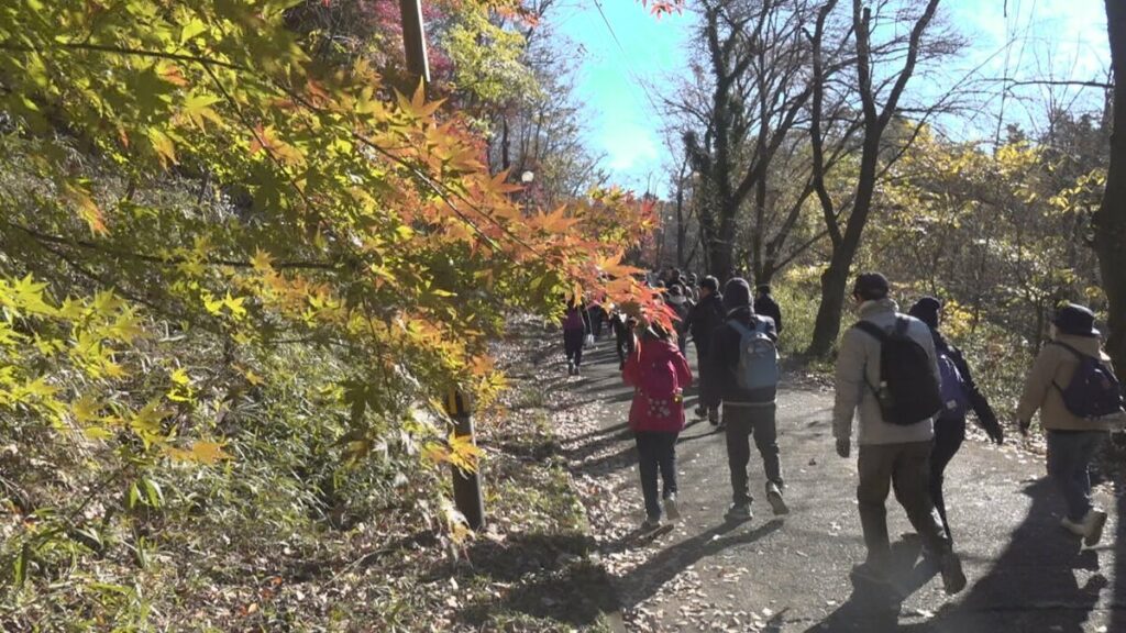 健康寿命100歳へ　紅葉彩るなかウォーキングイベント