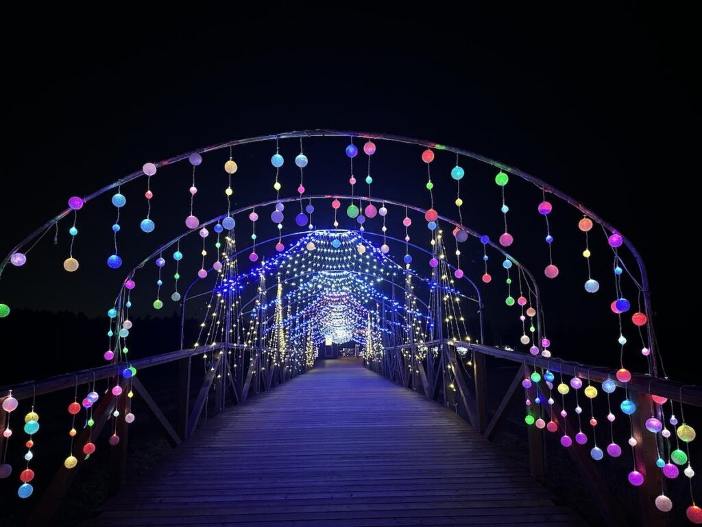 富士山経済新聞
山中湖「花の都公園」でイルミネーションイベント　花火打ち上げも